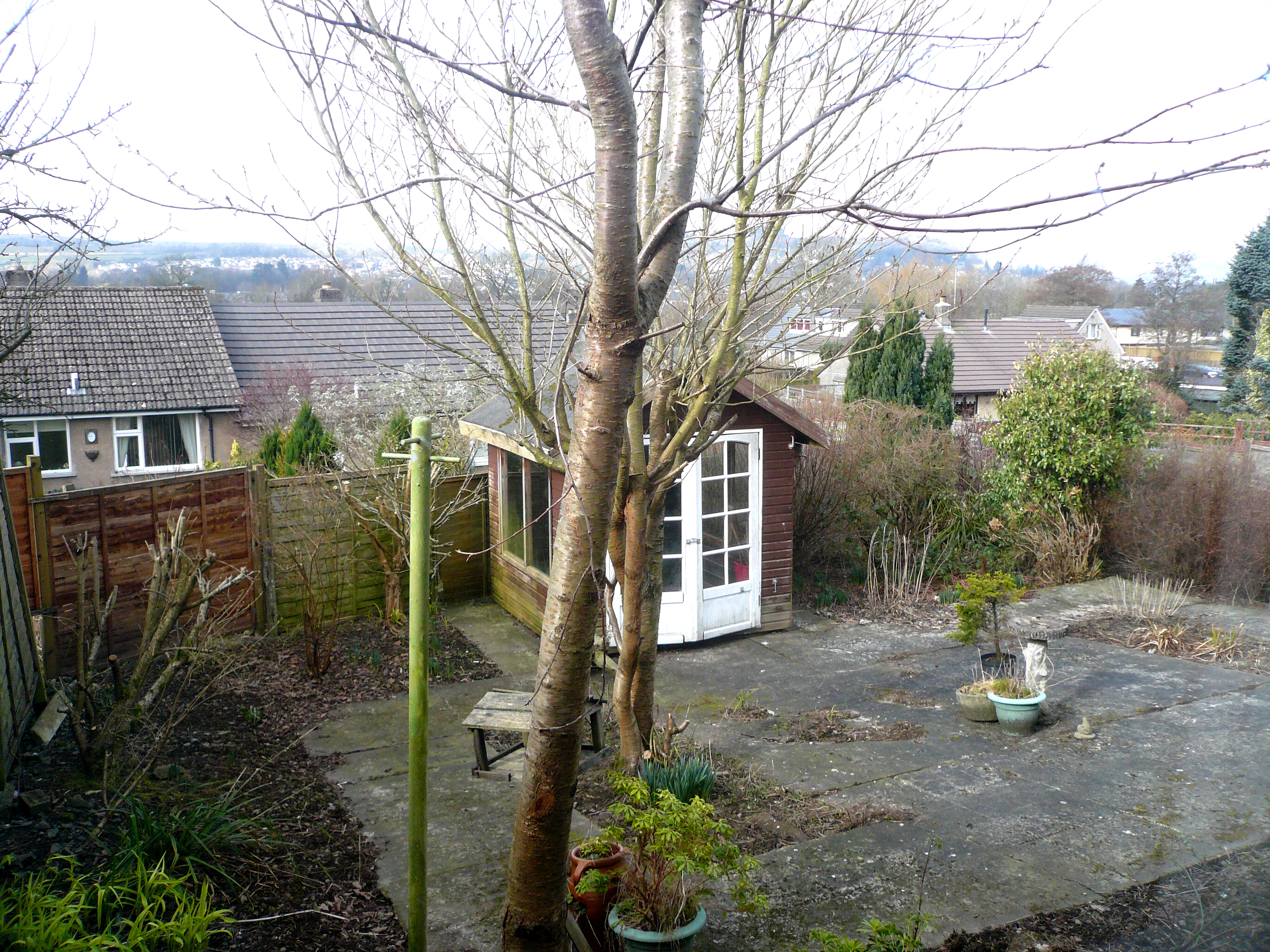 Whole Back Garden - Before
